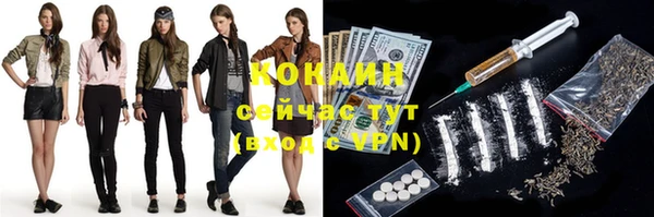 гидра Богородицк