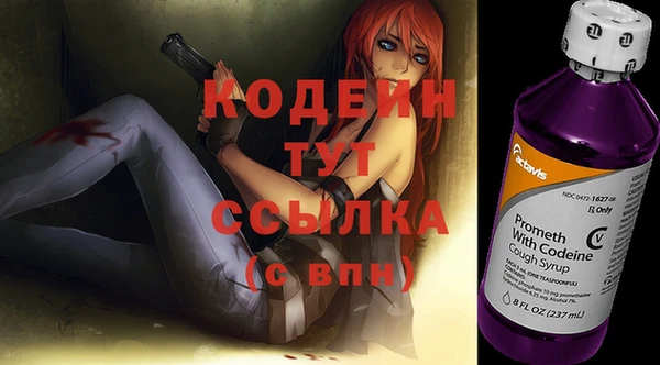 гидра Богородицк