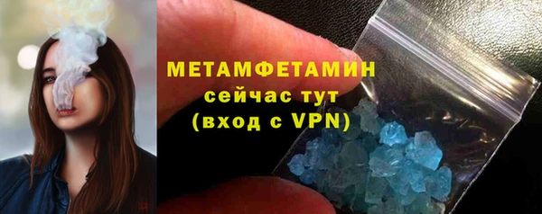 гидра Богородицк