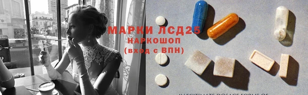 ECSTASY Богданович