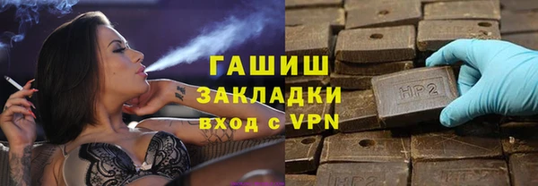 гидра Богородицк