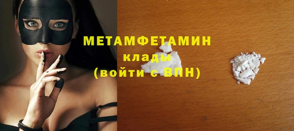 гидра Богородицк