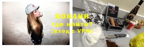 ECSTASY Богданович