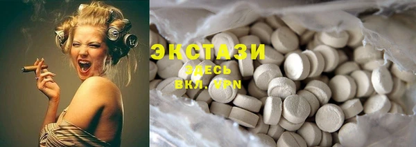 гидра Богородицк