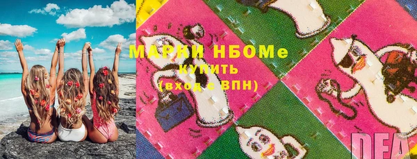 ECSTASY Богданович