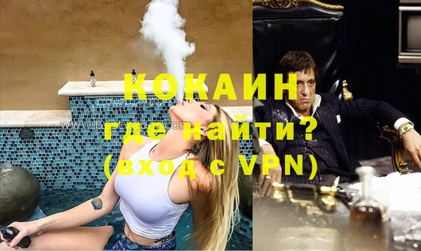 гидра Богородицк