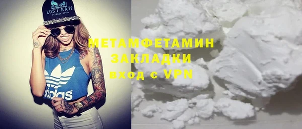 гидра Богородицк