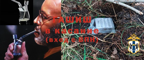 гидра Богородицк