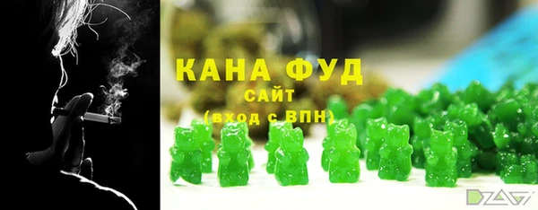 гидра Богородицк