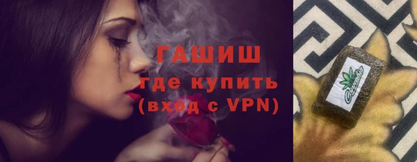 гидра Богородицк