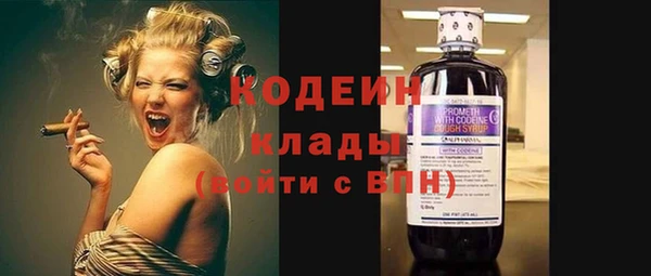 ECSTASY Богданович