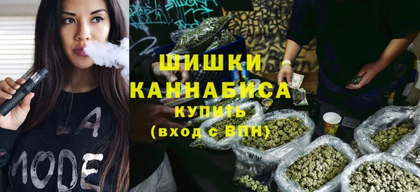 ECSTASY Богданович