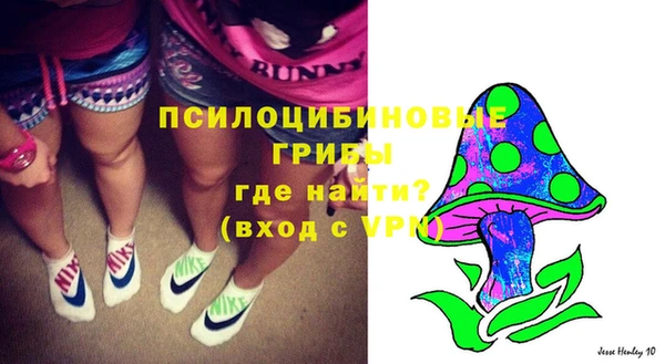 ECSTASY Богданович