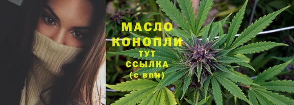 гидра Богородицк