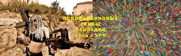 гидра Богородицк