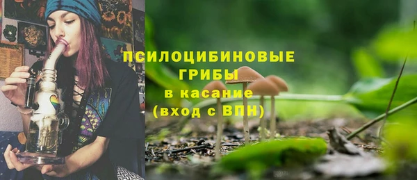 ECSTASY Богданович